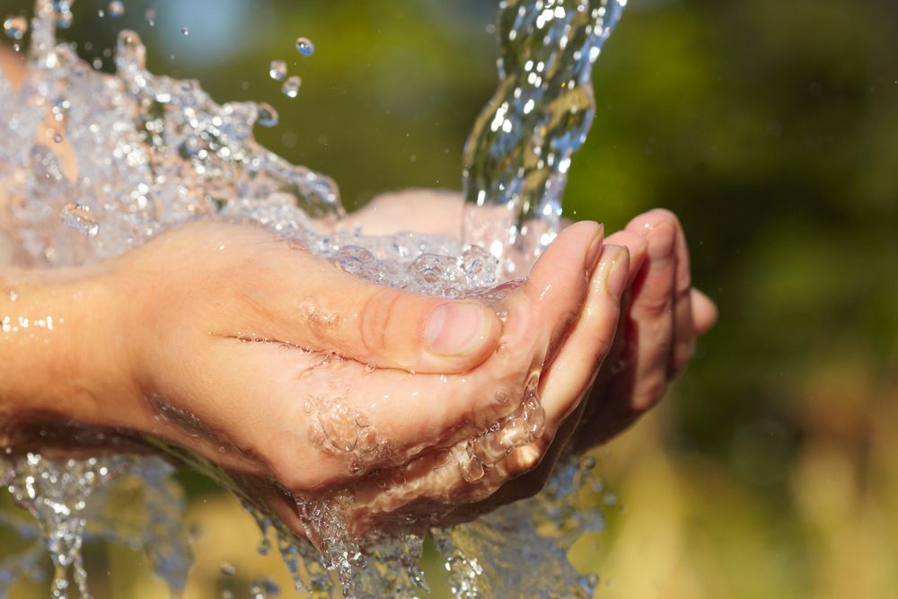 Descubre las principales acciones para cuidar el agua en tu hogar